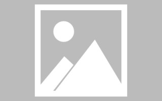 开原信息网页设计（信息型网页）